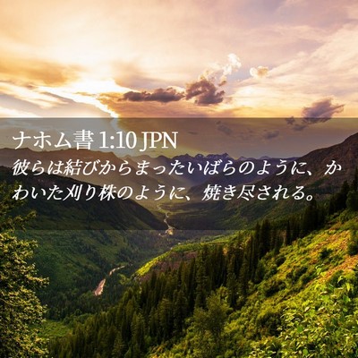 Picture 02 - ナホム書 1:10 JPN - 彼らは結びからまったいばらのよう - Bible Verse Picture