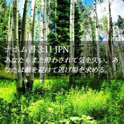Picture 02 - ナホム書 3:11 JPN - あなたもまた酔わされて気を失い、 - Bible Verse Picture