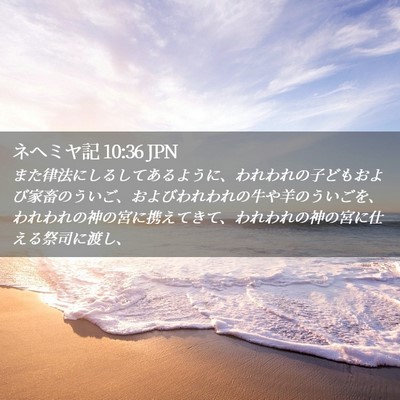 Picture 02 - ネヘミヤ記 10:36 JPN - また律法にしるしてあるように、わ - Bible Verse Picture