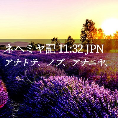 Picture 02 - ネヘミヤ記 11:32 JPN - アナトテ、ノブ、アナニヤ、 - Bible Verse Picture