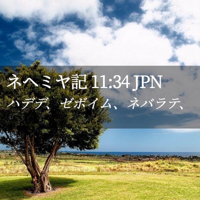 Picture 02 - ネヘミヤ記 11:34 JPN - ハデデ、ゼボイム、ネバラテ、 - Bible Verse Picture