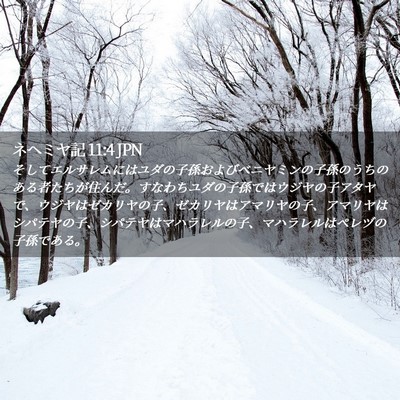 Picture 02 - ネヘミヤ記 11:4 JPN - そしてエルサレムにはユダの子孫お - Bible Verse Picture