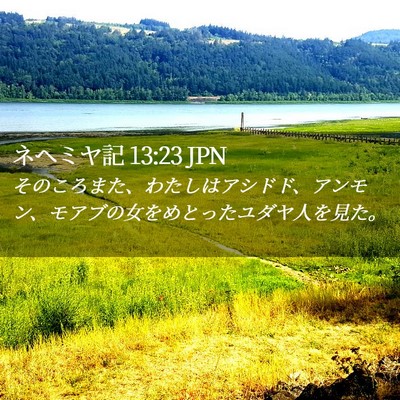 Picture 02 - ネヘミヤ記 13:23 JPN - そのころまた、わたしはアシドド、 - Bible Verse Picture