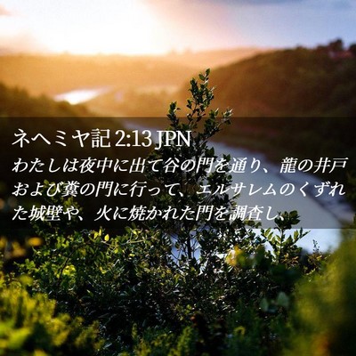 Picture 02 - ネヘミヤ記 2:13 JPN - わたしは夜中に出て谷の門を通り、 - Bible Verse Picture