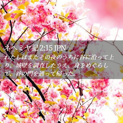 Picture 02 - ネヘミヤ記 2:15 JPN - わたしはまたその夜のうちに谷に沿 - Bible Verse Picture