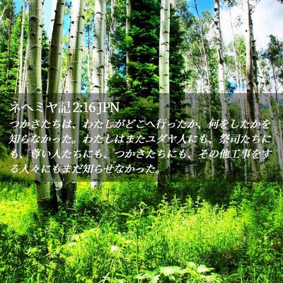 Picture 02 - ネヘミヤ記 2:16 JPN - つかさたちは、わたしがどこへ行っ - Bible Verse Picture