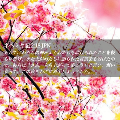 Picture 02 - ネヘミヤ記 2:18 JPN - そして、わたしの神がよくわたしを - Bible Verse Picture