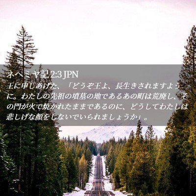 Picture 02 - ネヘミヤ記 2:3 JPN - 王に申しあげた、「どうぞ王よ、長 - Bible Verse Picture