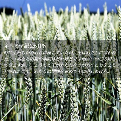 Picture 02 - ネヘミヤ記 2:6 JPN - 時に王妃もかたわらに座していたが - Bible Verse Picture