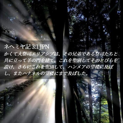 Picture 02 - ネヘミヤ記 3:1 JPN - かくて大祭司エリアシブは、その兄 - Bible Verse Picture