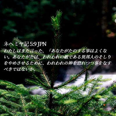Picture 02 - ネヘミヤ記 5:9 JPN - わたしはまた言った、「あなたがた - Bible Verse Picture