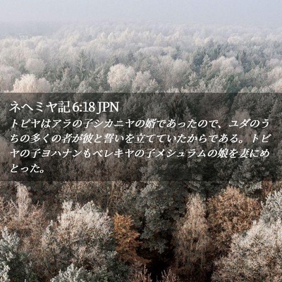Picture 02 - ネヘミヤ記 6:18 JPN - トビヤはアラの子シカニヤの婿であ - Bible Verse Picture