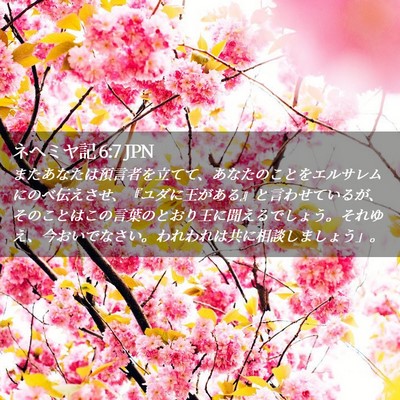 Picture 02 - ネヘミヤ記 6:7 JPN - またあなたは預言者を立てて、あな - Bible Verse Picture