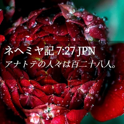 Picture 02 - ネヘミヤ記 7:27 JPN - アナトテの人々は百二十八人。 - Bible Verse Picture