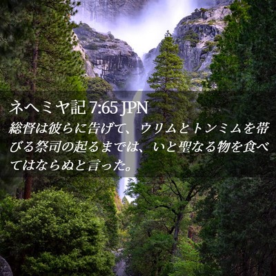 Picture 02 - ネヘミヤ記 7:65 JPN - 総督は彼らに告げて、ウリムとトン - Bible Verse Picture