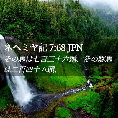 Picture 02 - ネヘミヤ記 7:68 JPN - その馬は七百三十六頭、その騾馬は - Bible Verse Picture
