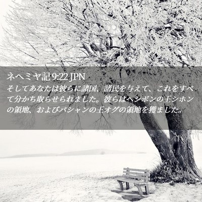Picture 02 - ネヘミヤ記 9:22 JPN - そしてあなたは彼らに諸国、諸民を - Bible Verse Picture