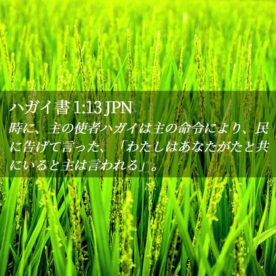 Picture 02 - ハガイ書 1:13 JPN - 時に、主の使者ハガイは主の命令に - Bible Verse Picture