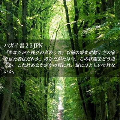 Picture 02 - ハガイ書 2:3 JPN - 『あなたがた残りの者のうち、以前 - Bible Verse Picture