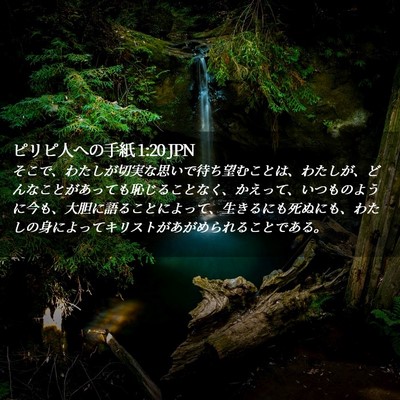 Picture 02 - ピリピ人への手紙 1:20 JPN - そこで、わたしが切実な思いで待ち - Bible Verse Picture