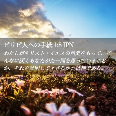 Picture 02 - ピリピ人への手紙 1:8 JPN - わたしがキリスト・イエスの熱愛を - Bible Verse Picture