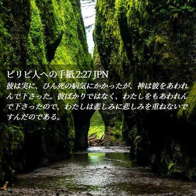Picture 02 - ピリピ人への手紙 2:27 JPN - 彼は実に、ひん死の病気にかかった - Bible Verse Picture