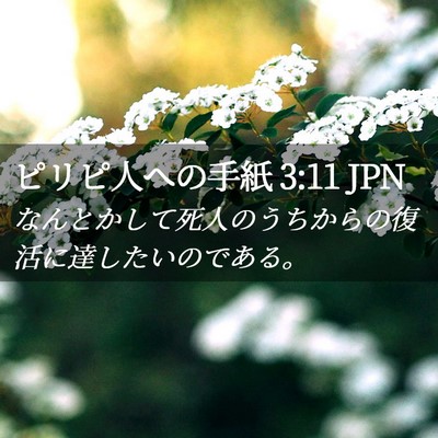 Picture 02 - ピリピ人への手紙 3:11 JPN - なんとかして死人のうちからの復活 - Bible Verse Picture