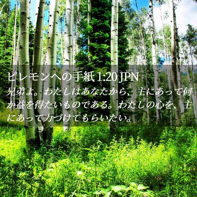 Picture 02 - ピレモンヘの手紙 1:20 JPN - 兄弟よ。わたしはあなたから、主に - Bible Verse Picture