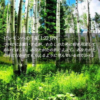 Picture 02 - ピレモンヘの手紙 1:22 JPN - ついでにお願いするが、わたしのた - Bible Verse Picture