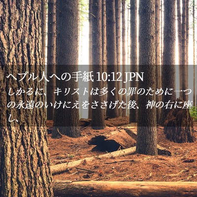 Picture 02 - ヘブル人への手紙 10:12 JPN - しかるに、キリストは多くの罪のた - Bible Verse Picture
