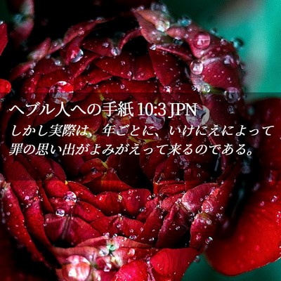 Picture 02 - ヘブル人への手紙 10:3 JPN - しかし実際は、年ごとに、いけにえ - Bible Verse Picture