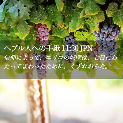 Picture 02 - ヘブル人への手紙 11:30 JPN - 信仰によって、エリコの城壁は、七 - Bible Verse Picture