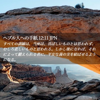 Picture 02 - ヘブル人への手紙 12:11 JPN - すべての訓練は、当座は、喜ばしい - Bible Verse Picture