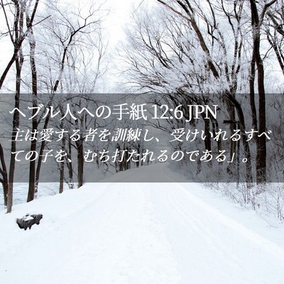 Picture 02 - ヘブル人への手紙 12:6 JPN - 主は愛する者を訓練し、受けいれる - Bible Verse Picture