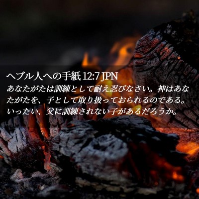 Picture 02 - ヘブル人への手紙 12:7 JPN - あなたがたは訓練として耐え忍びな - Bible Verse Picture