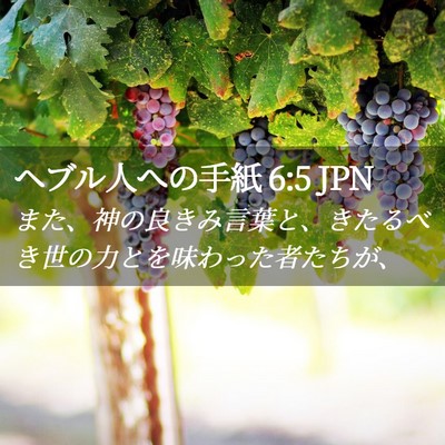 Picture 02 - ヘブル人への手紙 6:5 JPN - また、神の良きみ言葉と、きたるべ - Bible Verse Picture