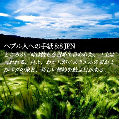 Picture 02 - ヘブル人への手紙 8:8 JPN - ところが、神は彼らを責めて言われ - Bible Verse Picture
