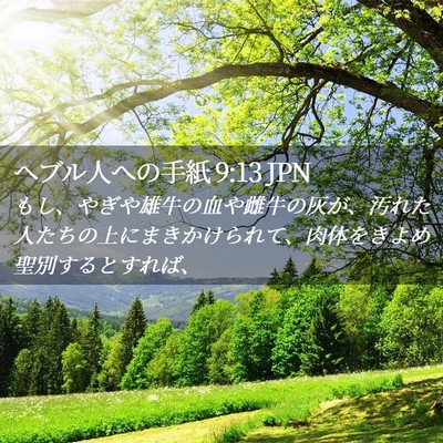 Picture 02 - ヘブル人への手紙 9:13 JPN - もし、やぎや雄牛の血や雌牛の灰が - Bible Verse Picture
