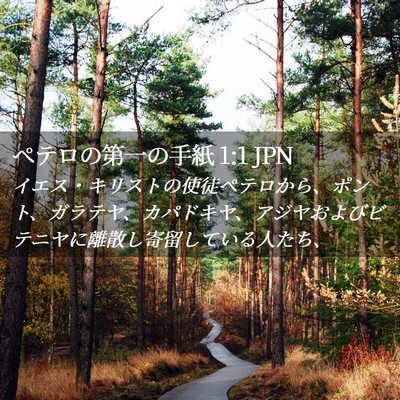 Picture 02 - ペテロの第一の手紙 1:1 JPN - イエス・キリストの使徒ペテロから - Bible Verse Picture