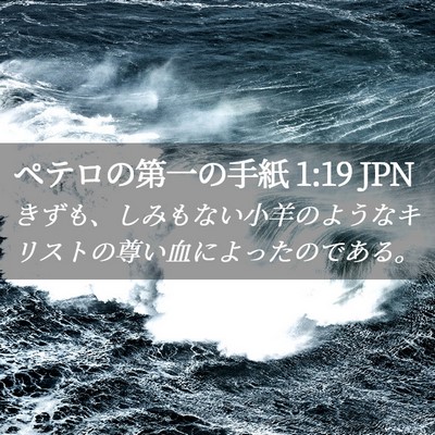 Picture 02 - ペテロの第一の手紙 1:19 JPN - きずも、しみもない小羊のようなキ - Bible Verse Picture