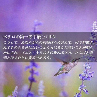 Picture 02 - ペテロの第一の手紙 1:7 JPN - こうして、あなたがたの信仰はため - Bible Verse Picture