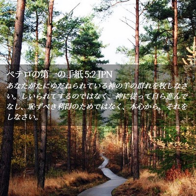 Picture 02 - ペテロの第一の手紙 5:2 JPN - あなたがたにゆだねられている神の - Bible Verse Picture