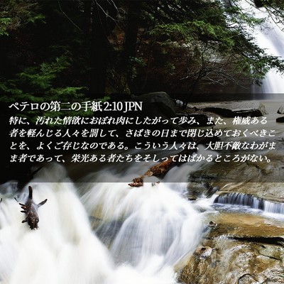 Picture 02 - ペテロの第二の手紙 2:10 JPN - 特に、汚れた情欲におぼれ肉にした - Bible Verse Picture