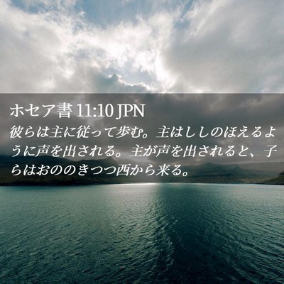 Picture 02 - ホセア書 11:10 JPN - 彼らは主に従って歩む。主はししの - Bible Verse Picture