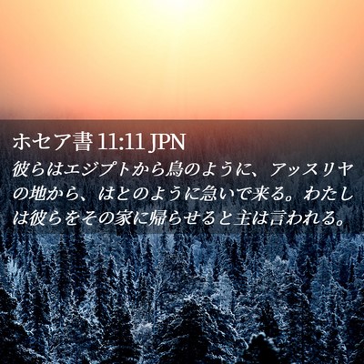 Picture 02 - ホセア書 11:11 JPN - 彼らはエジプトから鳥のように、ア - Bible Verse Picture