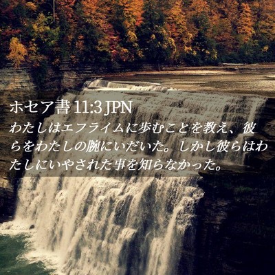 Picture 02 - ホセア書 11:3 JPN - わたしはエフライムに歩むことを教 - Bible Verse Picture