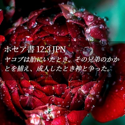 Picture 02 - ホセア書 12:3 JPN - ヤコブは胎にいたとき、その兄弟の - Bible Verse Picture
