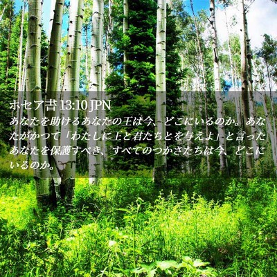 Picture 02 - ホセア書 13:10 JPN - あなたを助けるあなたの王は今、ど - Bible Verse Picture