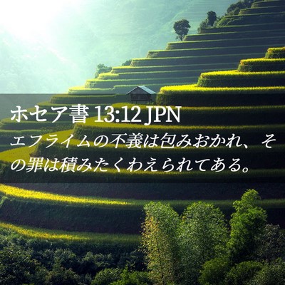 Picture 02 - ホセア書 13:12 JPN - エフライムの不義は包みおかれ、そ - Bible Verse Picture