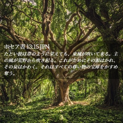 Picture 02 - ホセア書 13:15 JPN - たとい彼は葦のように栄えても、東 - Bible Verse Picture